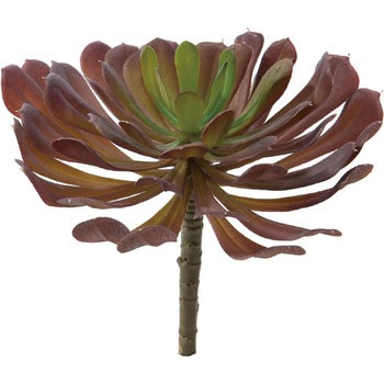 FG-4677 �G�P�x���A�s�b�N ���l�f�B�X�v���C�~���[�W�A�� 70183952