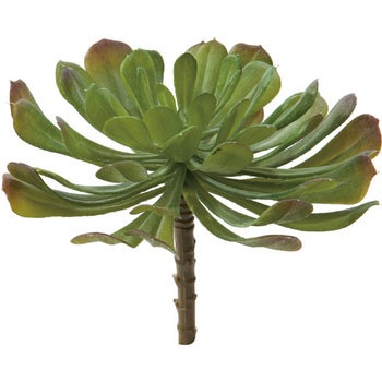 FG-4677 �G�P�x���A�s�b�N ���l�f�B�X�v���C�~���[�W�A�� 70183968