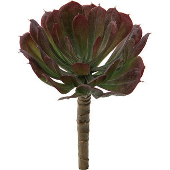 FG-4678 �G�P�x���A�s�b�N ���l�f�B�X�v���C�~���[�W�A�� 70183977