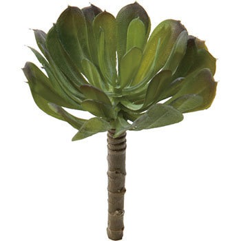 FG-4678 �G�P�x���A�s�b�N ���l�f�B�X�v���C�~���[�W�A�� 70183986