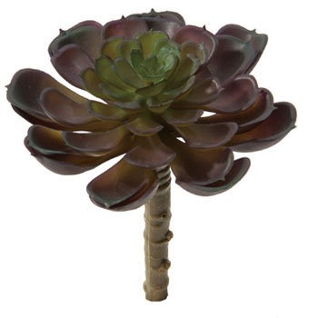 FG-4688 �G�P�x���A�s�b�N ���l�f�B�X�v���C�~���[�W�A�� 70184153