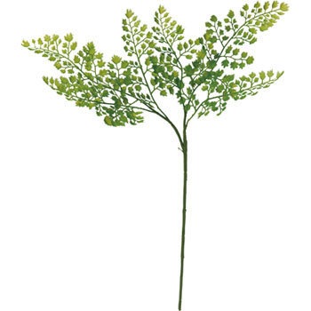 FG-4730 �A�W�A���^���X�v���[ ���l�f�B�X�v���C�~���[�W�A�� 70184634