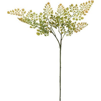 FG-4730 �A�W�A���^���X�v���[ ���l�f�B�X�v���C�~���[�W�A�� 70184643