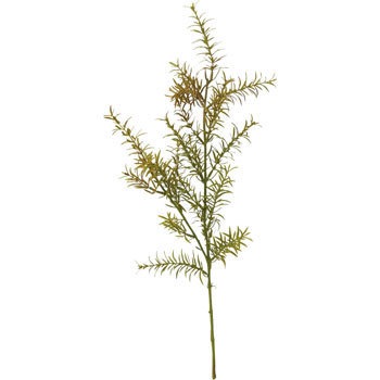 FG-4741 ���[�Y�}���[�X�v���[ ���l�f�B�X�v���C�~���[�W�A�� 70184844