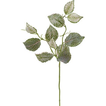 FG-4770 tBgjAXv[ lfBXvC~[WA 70185097