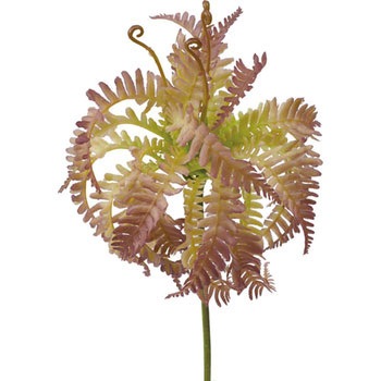 FG-4783 ドラゴンファーンピック 横浜ディスプレイミュージアム 70185298