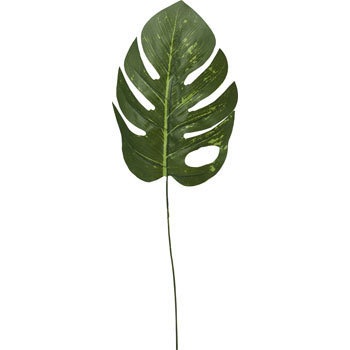 FG-4809 �����X�e�����[�t ���l�f�B�X�v���C�~���[�W�A�� 70185763