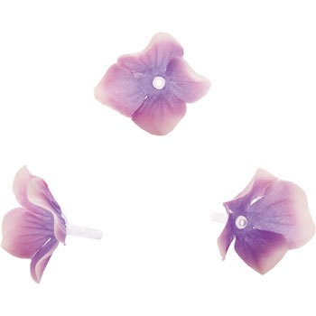 FLP-1180 �n�C�h�����W�A ���l�f�B�X�v���C�~���[�W�A�� 70186235