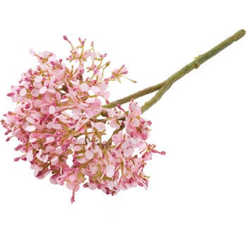 FLP-3004 ���[�X�t�����[ ���l�f�B�X�v���C�~���[�W�A�� 70186707