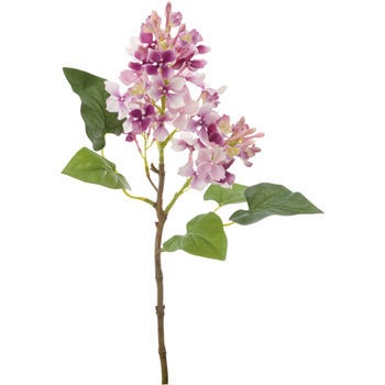 FS-7735 ���C���b�N ���l�f�B�X�v���C�~���[�W�A�� 70187005