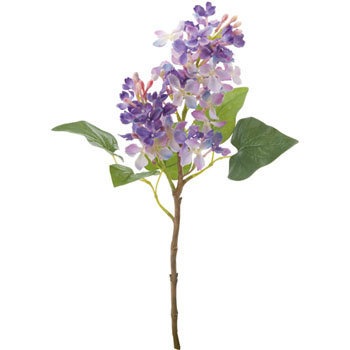 FS-7735 ���C���b�N ���l�f�B�X�v���C�~���[�W�A�� 70187014