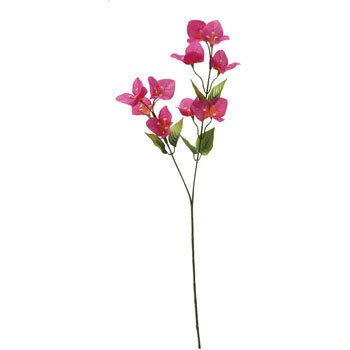 Fs 8181 ブーゲンビリア 1本 横浜ディスプレイミュージアム 通販サイトmonotaro