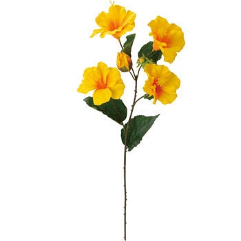 FS-8229 �n�C�r�X�J�X�X�v���[ ���l�f�B�X�v���C�~���[�W�A�� 70188816