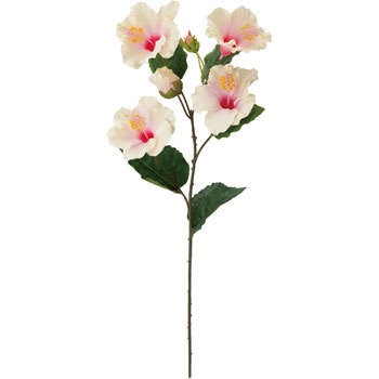 FS-8229 �n�C�r�X�J�X�X�v���[ ���l�f�B�X�v���C�~���[�W�A�� 70188825