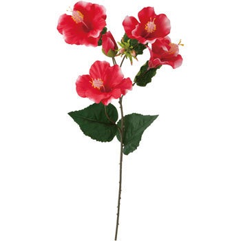 FS-8229 �n�C�r�X�J�X�X�v���[ ���l�f�B�X�v���C�~���[�W�A�� 70188834