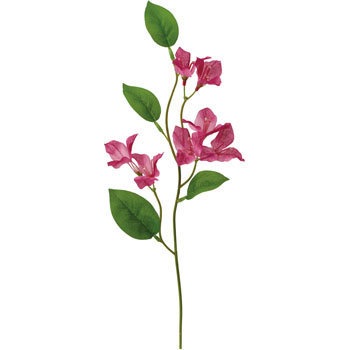 Fs 65 ブーゲンビリア 1本 横浜ディスプレイミュージアム 通販サイトmonotaro