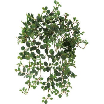 GL-4990 �v�~���n���M���O�u�b�V�� ���l�f�B�X�v���C�~���[�W�A�� 70190006