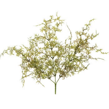 GL-5104 プラスチックシダーブッシュ 横浜ディスプレイミュージアム 70191196