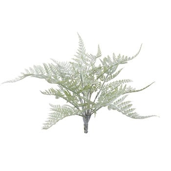 ダッチファーンブッシュ 横浜ディスプレイミュージアム