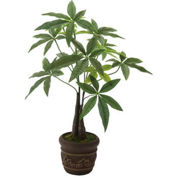 GLA-0380A �p�L���|�b�g ���l�f�B�X�v���C�~���[�W�A�� 70191573