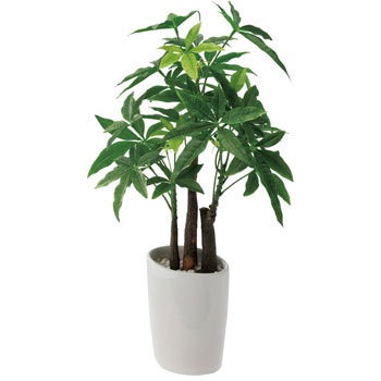 ロングパキラオーバルポット 横浜ディスプレイミュージアム 観葉植物壁掛け用 卓上用グリーン 造花 通販モノタロウ Gla 1229