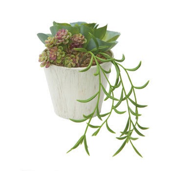 GLA-1319 �G�P�x���A�~�b�N�X�|�b�g ���l�f�B�X�v���C�~���[�W�A�� 70193007