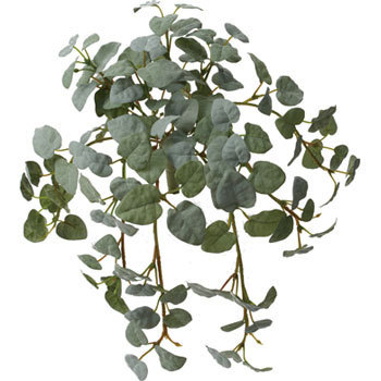 GLDD-0001 �v�~���n���M���O�u�b�V�� ���l�f�B�X�v���C�~���[�W�A�� 70193628