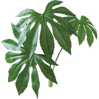 GL-MB011 ���b�N�v�����c ���l�f�B�X�v���C�~���[�W�A�� �X�g���[�g�^�C�v 70194163