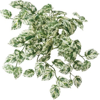 GL-MB022 bNvc lfBXvC~[WA Xg[g^Cv 70194276