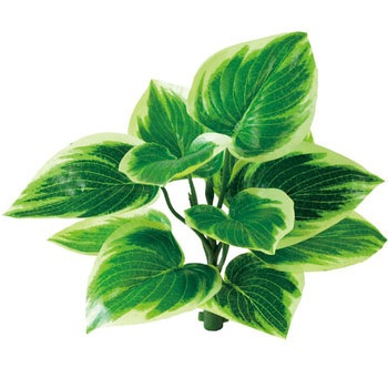 GL-MB024 bNvc lfBXvC~[WA Xg[g^Cv 70194294