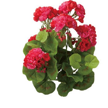 GL-MB029 bNvc lfBXvC~[WA Xg[g^Cv 70194346