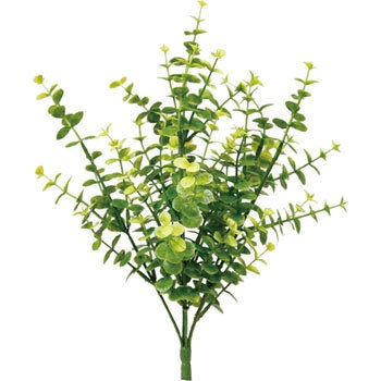 GLSK-0019 ���[�J���u�b�V�� ���l�f�B�X�v���C�~���[�W�A�� 70194793