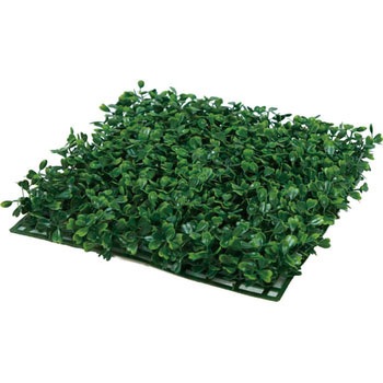 GLSK-0042 �{�b�N�X�E�b�h�}�b�g ���l�f�B�X�v���C�~���[�W�A�� 70195082