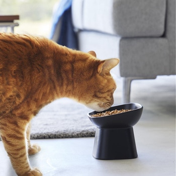 食べやすい高さ陶器ペットフードボウル タワー 斜めトール 山崎実業