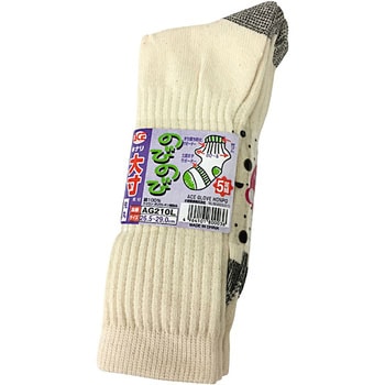 AG210L  サポーターキナリ先丸大寸5足組 Workstyle ACE(ワークスタイルエース)