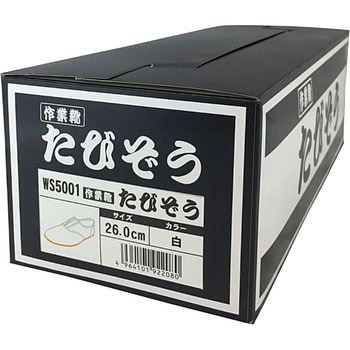 WS5001 たびぞう Workstyle ACE(ワークスタイルエース)