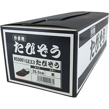 WS5001 たびぞう Workstyle ACE(ワークスタイルエース)
