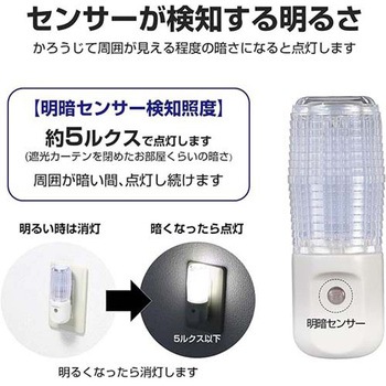 (明暗)LEDセンサーライト エスコ