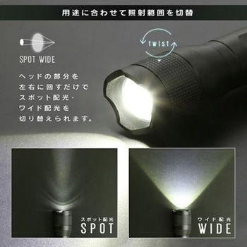 LEDライト エスコ