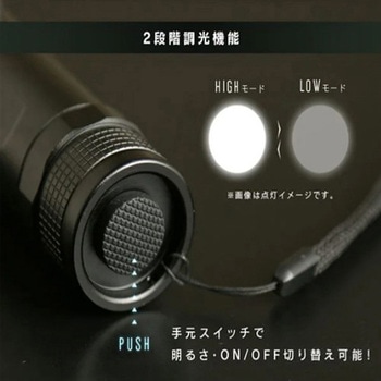 LEDライト エスコ