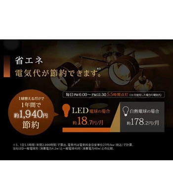 LED電球 エスコ