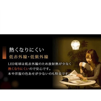 LED電球 エスコ