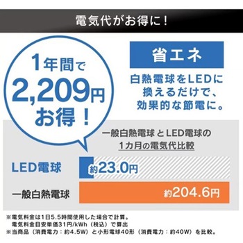 LED電球 エスコ