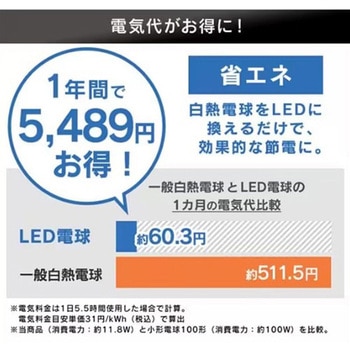 LED電球 エスコ