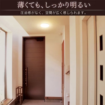 LEDシーリングライト(薄型・小型) エスコ