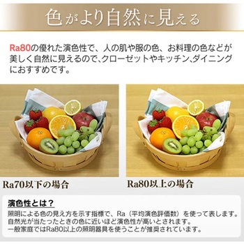 LEDシーリングライト(薄型・小型) エスコ