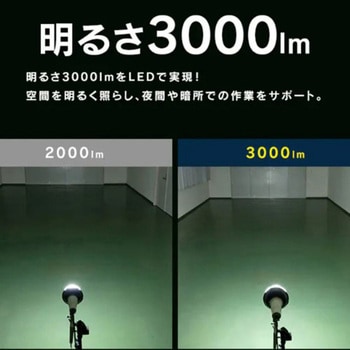 [投光器用]LED電球 エスコ