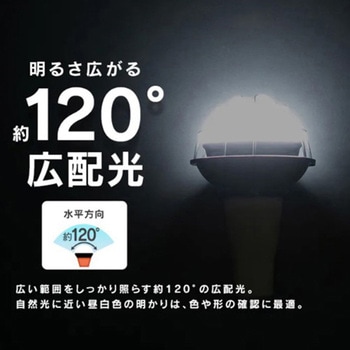 [投光器用]LED電球 エスコ