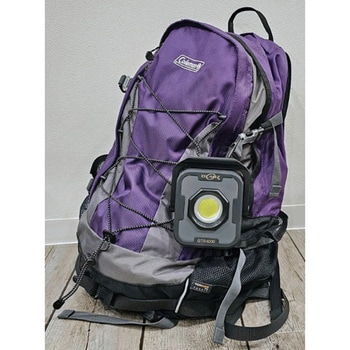 [充電式]LED作業灯 - エスコ