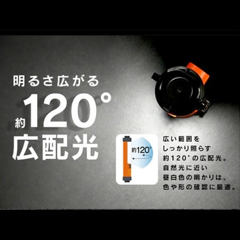 [充電式]LED作業灯 エスコ